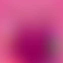 Back Where It All Started – Butterfly Saraé Returns Home!