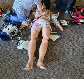 Advanced medical training