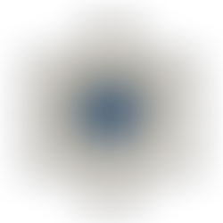 🔗 Building the Bridge: The New Nashville Alumni Network