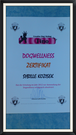 Wellnes Diplom_edited.jpg