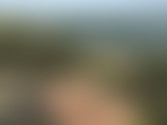 The Hidden House in Portugal, Cleverly Camouflaged in Nature, offers a Serene Seaside Retreat