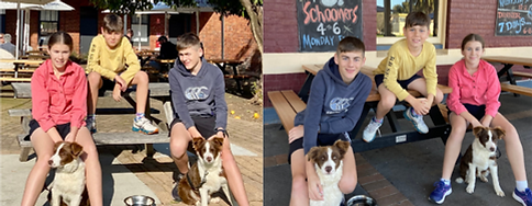 pet friendlykid friendlybeer garden Junee