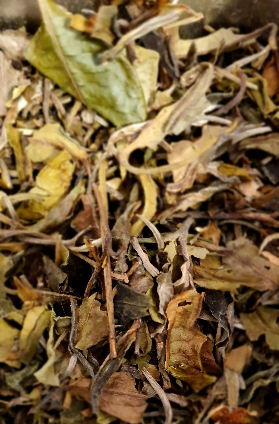 Earl grey blanc timut vanille bourbon