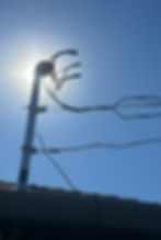 IMG_8556.jpeg