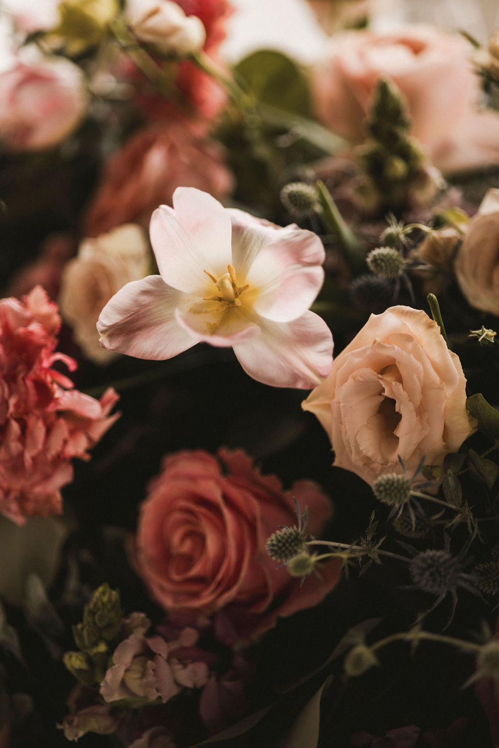 Copia de 21MARZO202514.jpg