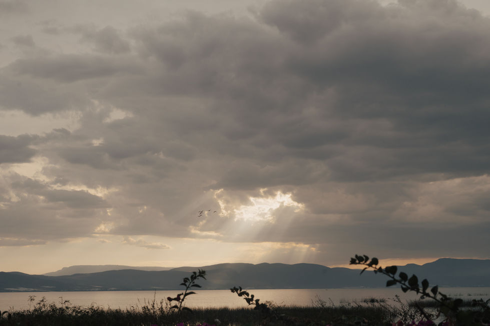 Copia de IQA_4872.jpg