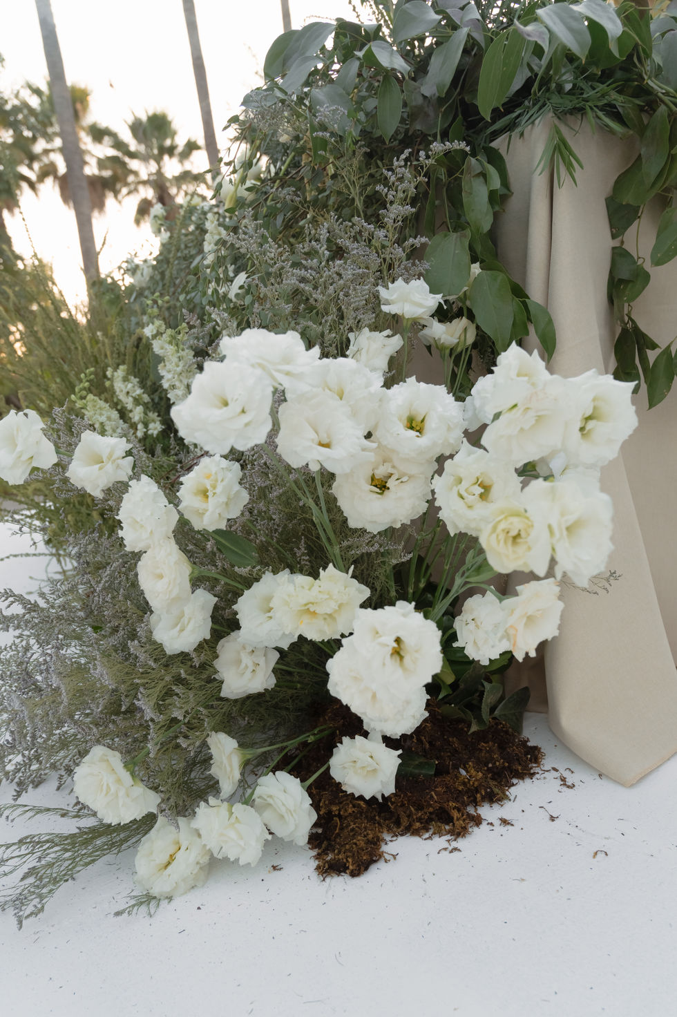 Copia de IMG_6800.jpg