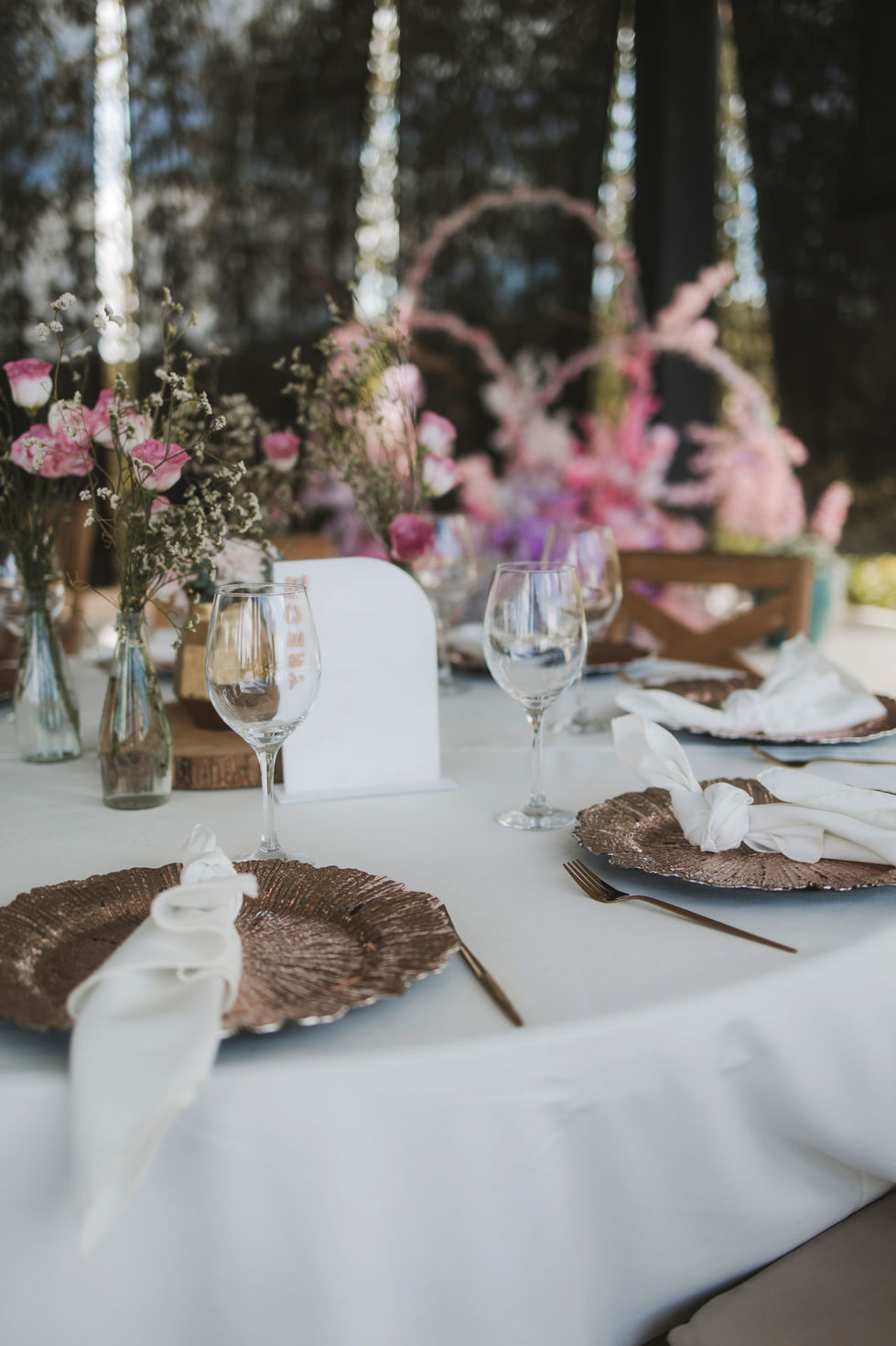 Copia de MONTAJE43.jpg