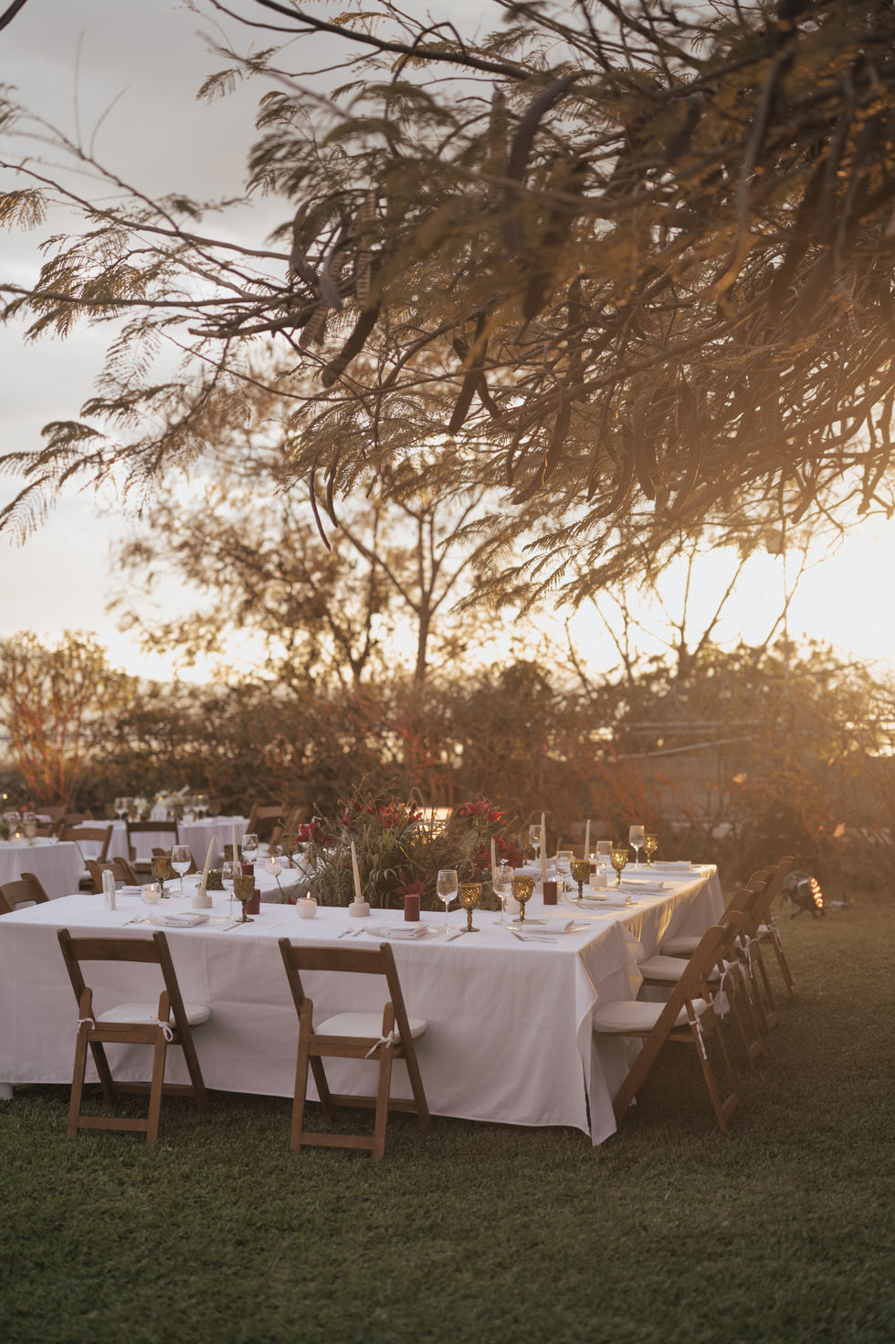 Copia de IQA_5128.jpg