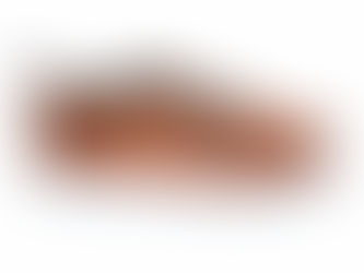 ANIZ 'Stripes' Sneakers- Brown