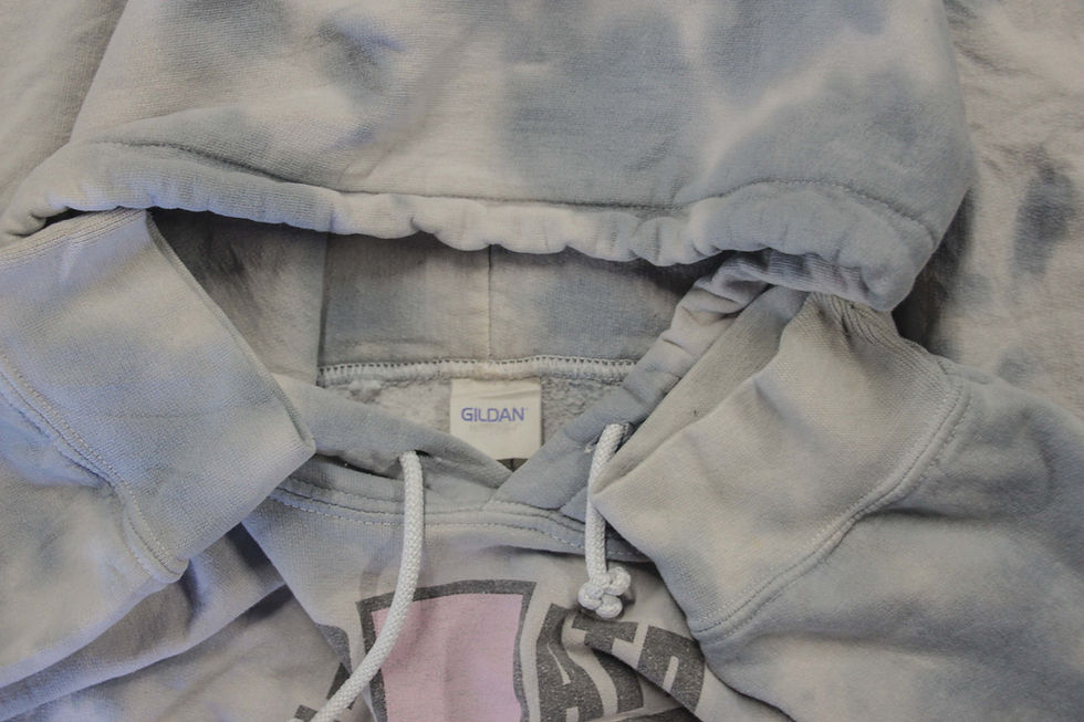 Thumbnail: Panic At The Disco Hoodie - L