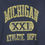 Thumbnail: 2000’s Michigan Crewneck - L