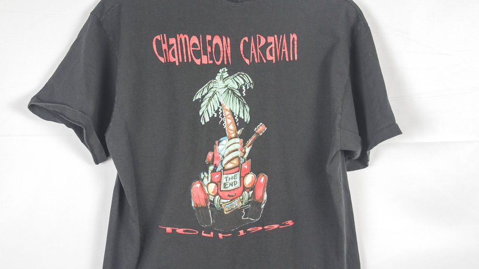 Thumbnail: 1993 Chameleon Caravan Crew Tee - XL