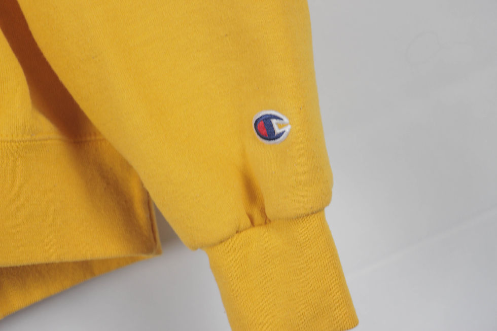 Thumbnail: University Of Wisconsin Milwaukee Champion Hoodie - S