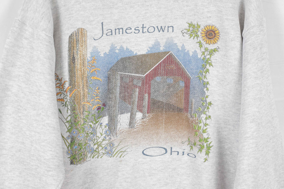 Thumbnail: 2000’s Jamestown Ohio Crewneck - L