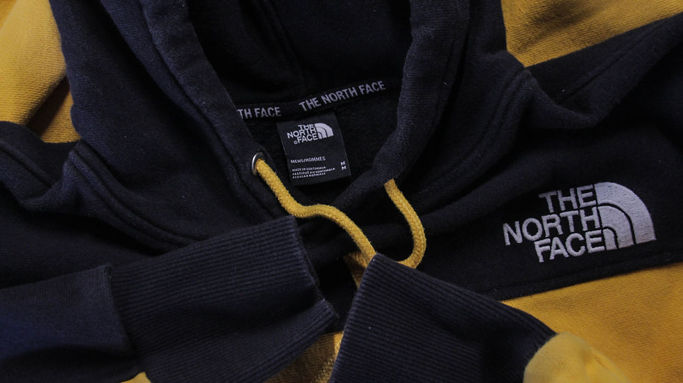 Thumbnail: The North Face Two Tone Hoodie - M