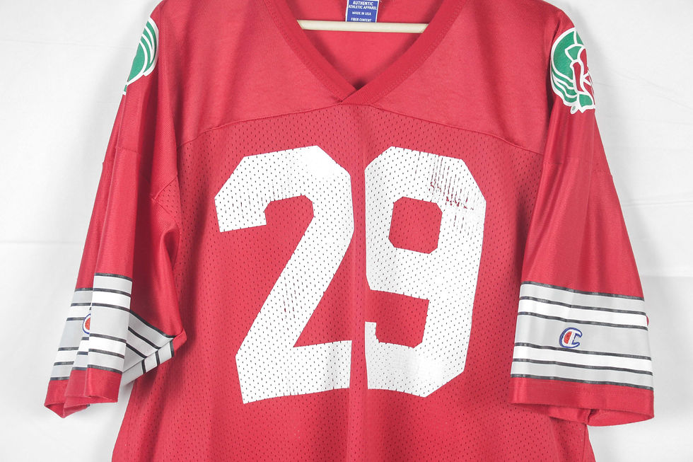 Thumbnail: 2000’s Ohio State Champion Jersey - L