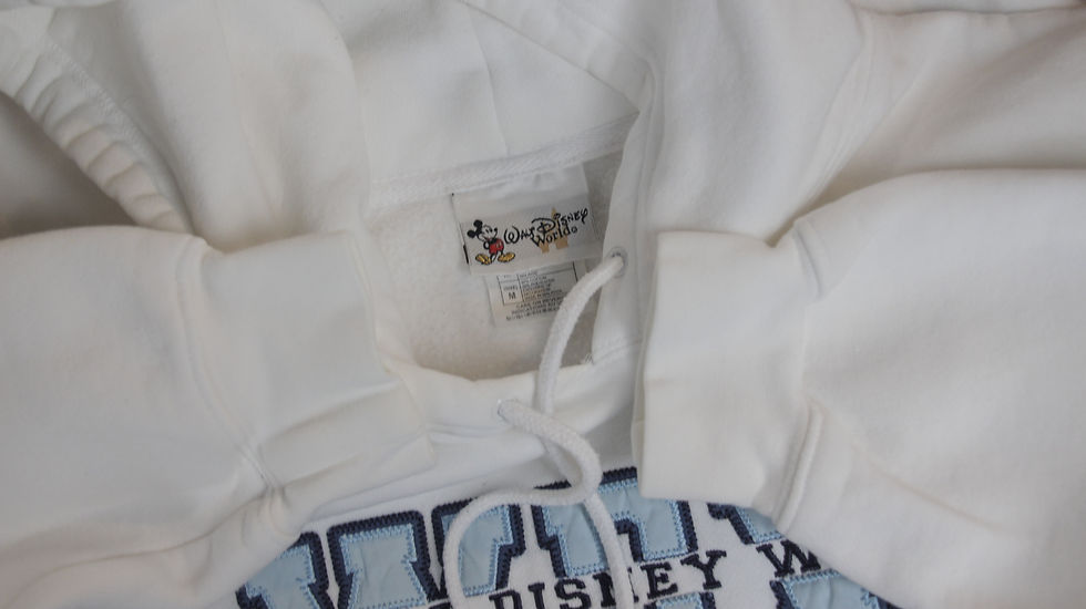 Thumbnail: 2000’s Disney World Hoodie - M