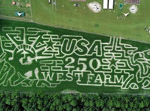 corn maze.jpeg
