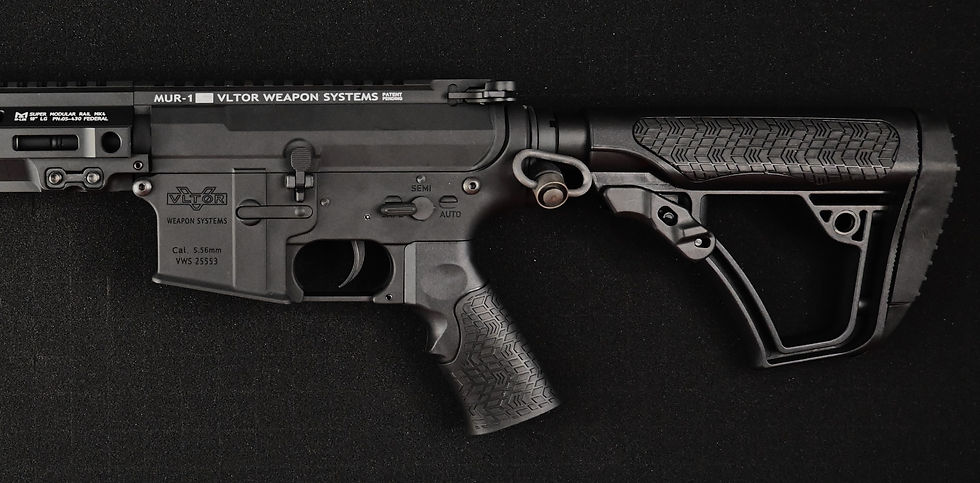 Miniature : M4 N-AEG Vltor x DD x MK4 9"