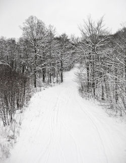 Snowy Trail