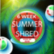 SUMMBER SHRED@2x-100.jpg