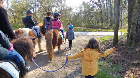 ETE 2021 : Journée poney