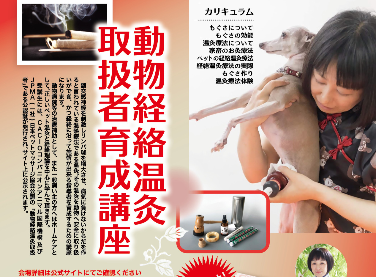 動物経絡温灸取扱者育成講座 | コンパニオンアニマルケア国際機構