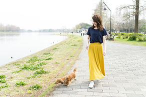 シニア犬トリミングを学ぶJAGO 日本エージングルーミング協会