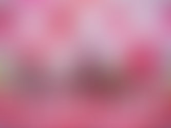 Day e Lara, Lary e Mariana Fagundes brindam juntas durante gravação do projeto “Resenha das Braba”, em cenário decorado com referências ao futebol e ao sertanejo.