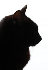 IMG_4608.jpeg