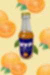 Product image.png