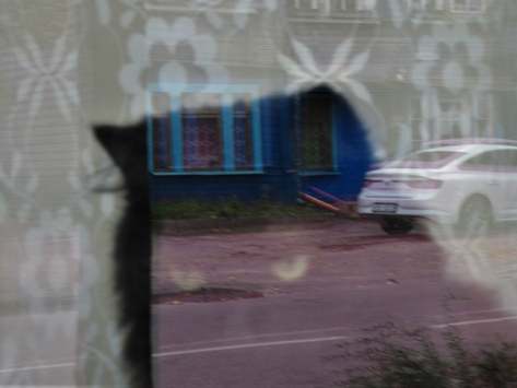 Numerology report May 2025: Stopping the world!