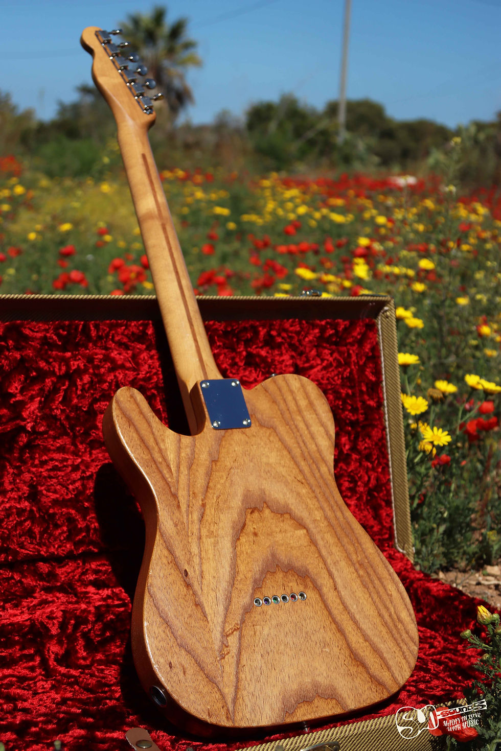 Thumbnail: Fender Telecaster 52' reissue | American Vintage roasted ash | FSR 2017
