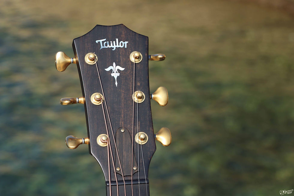 Thumbnail: Taylor Builders Edition 614CE WHB