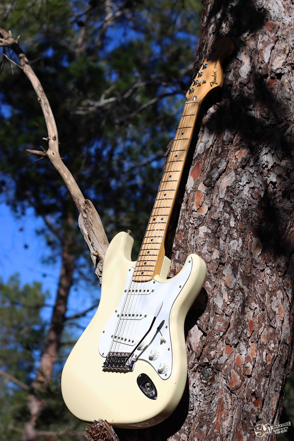 Thumbnail: music shop sicily