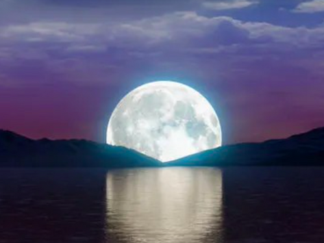 Astrological forecast: Full Moon 31st May 2026 From transformation to moulting, from word to silence, from mystery to revelation.