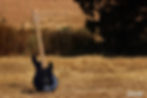 4 string bass guitar