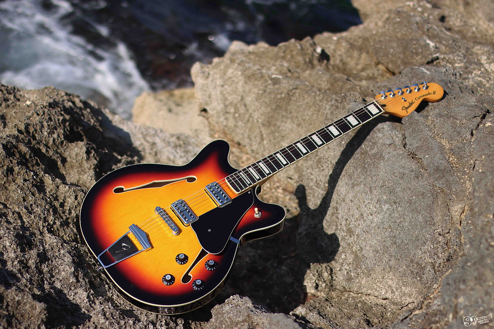 Thumbnail: Fender Coronado ll - Special Edition | 2013