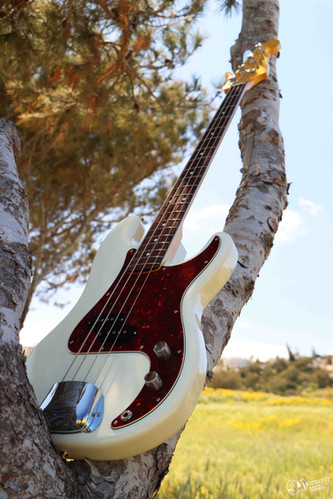 ゆ*ら様 Fender Hama Okamoto Precision Bass sddefault.jpg