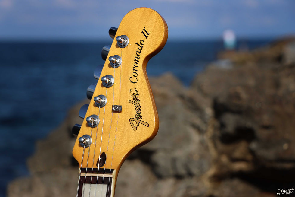 Thumbnail: Fender Coronado ll - Special Edition | 2013