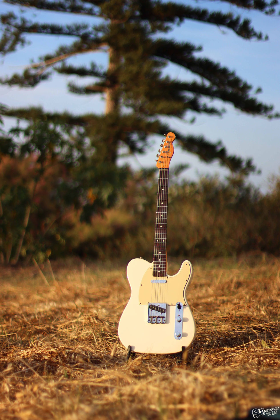 Thumbnail: telecaster for sale malta