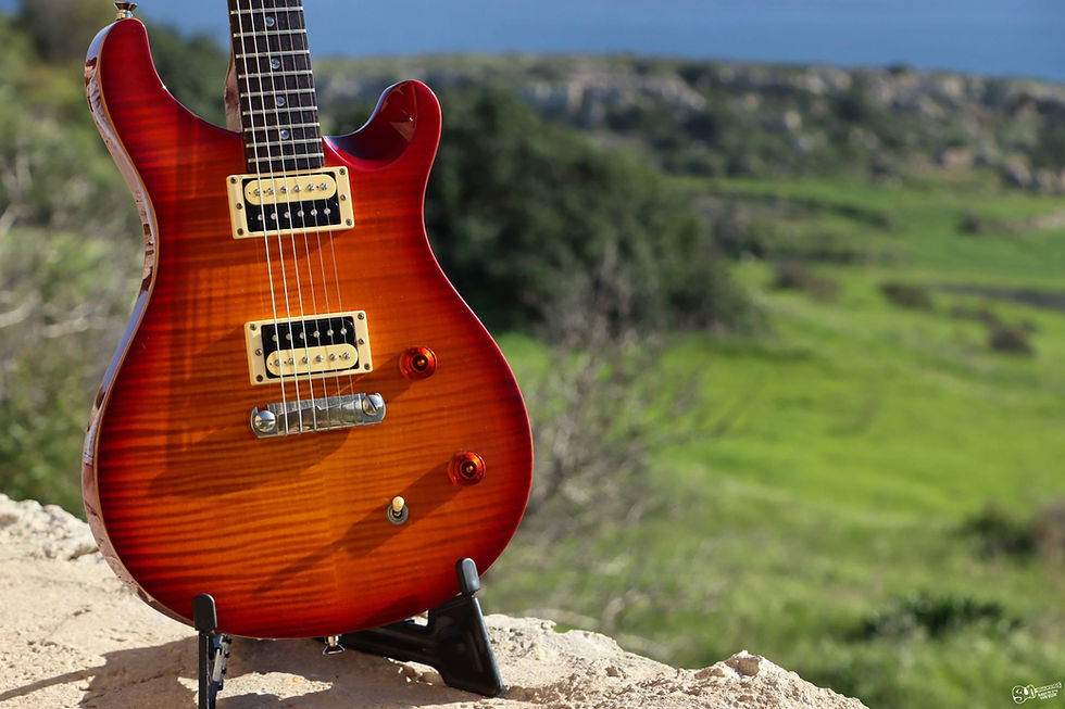 Thumbnail: PRS SE Custom 22 | 2005
