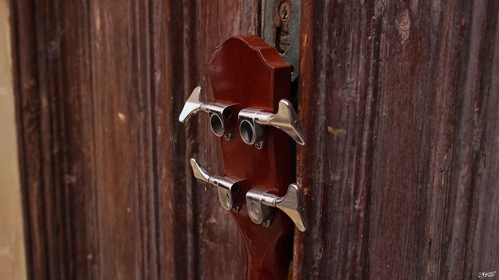 Thumbnail: Acoustic Basses | Tanglewood Pearl River