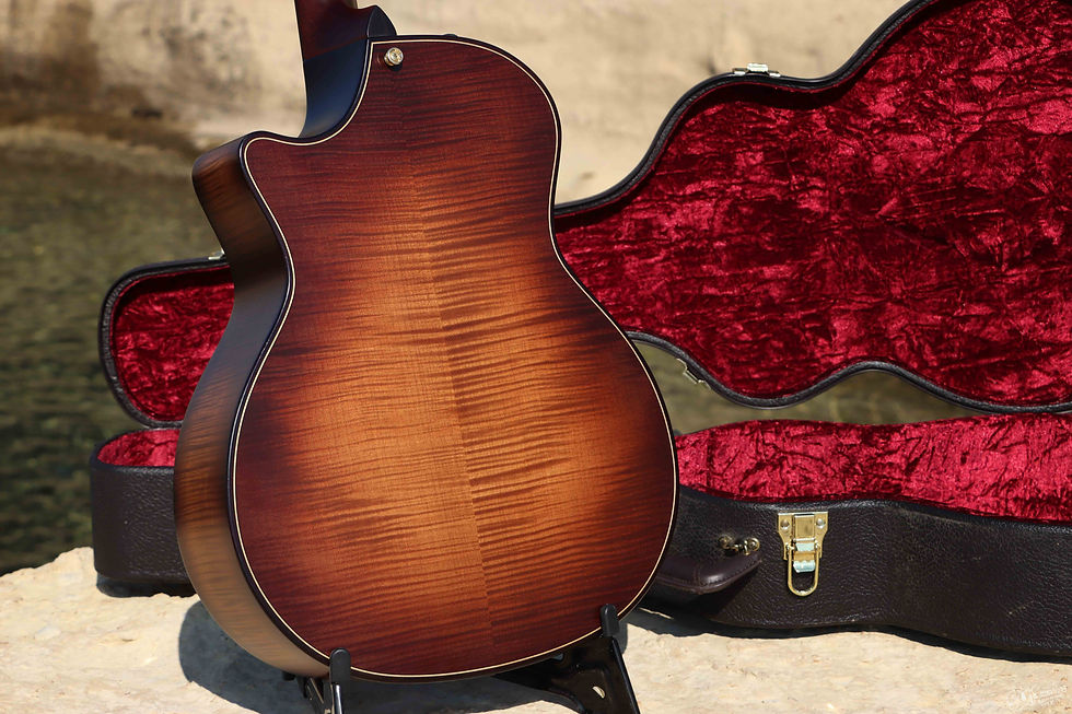 Thumbnail: Taylor Builders Edition 614CE WHB