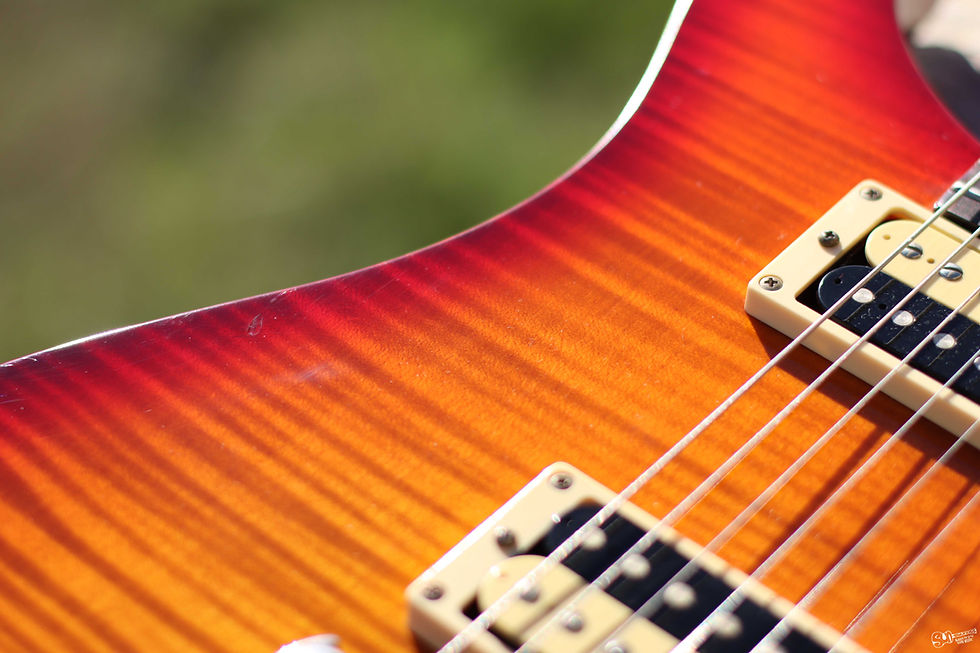 Thumbnail: PRS SE Custom 22 | 2005