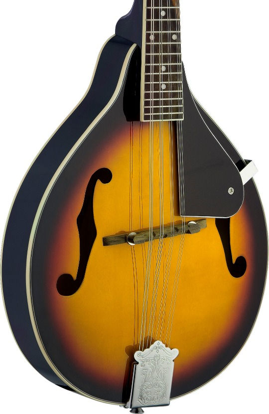 M20 mandolin