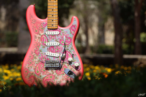 fender japan st cham シェイルピンク 中古 2800003166479_1_l.jpg