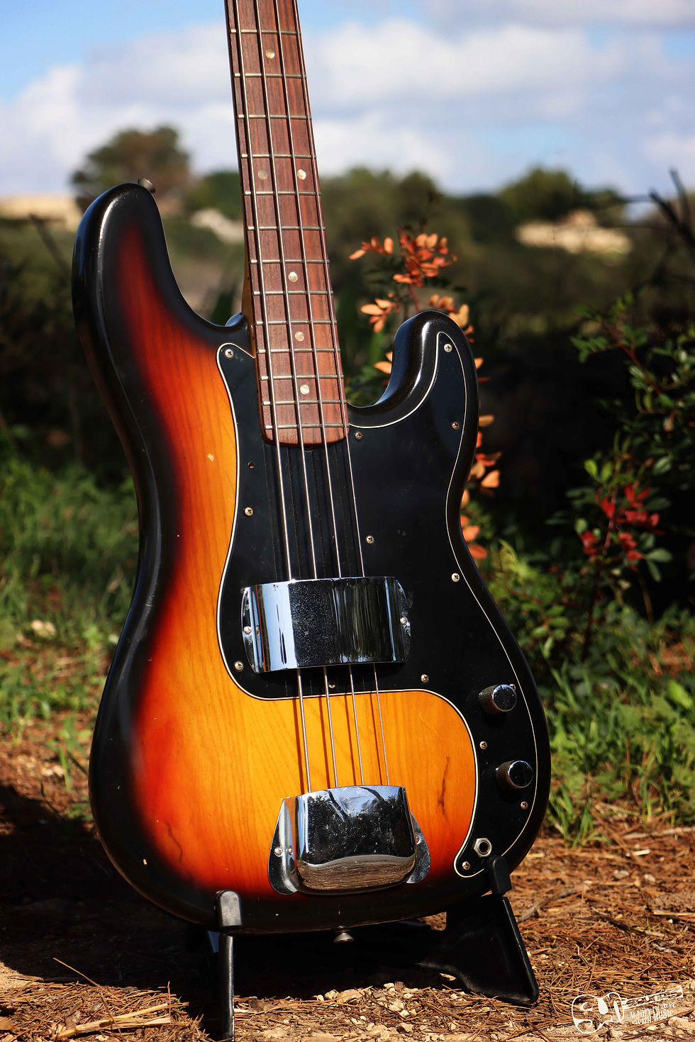 Thumbnail: sunburst p-bass in sliema malta