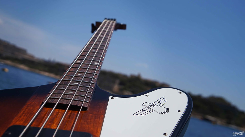 Thumbnail: gibson thunderbird used online